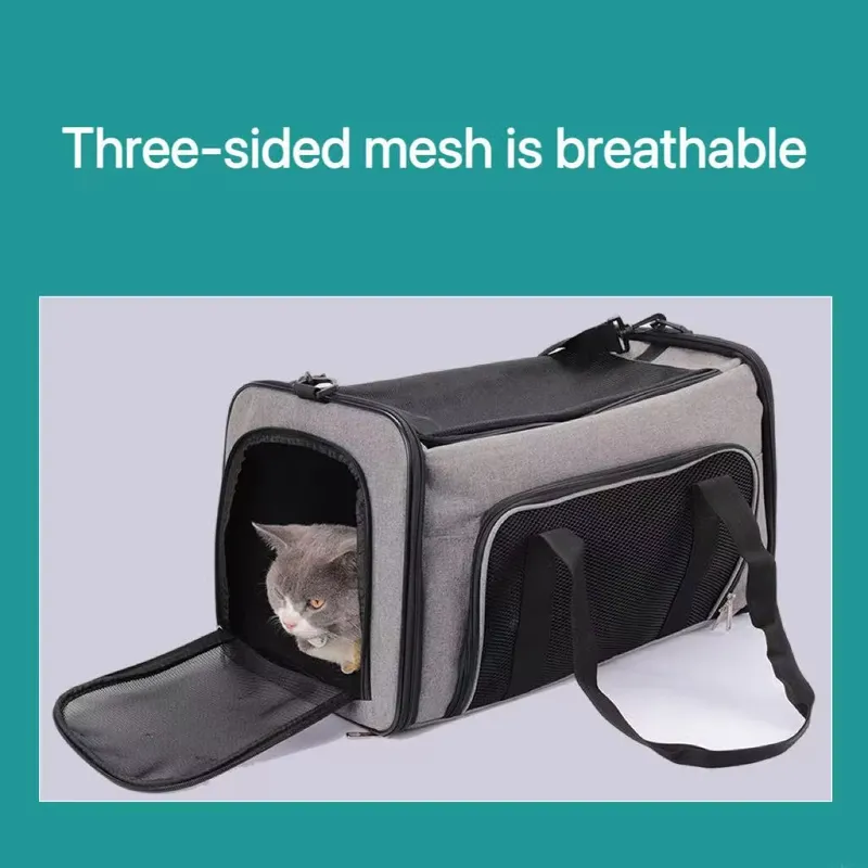 Özel Yüksek Kaliteli Evcil Hay - Travel Accessories Manufacturer incelemesi ve fiyatı